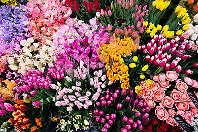 4090可以4k＆60fps运行《塞尔达传说：王国之泪》