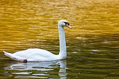 《消逝的光芒2》为Xbox Series S主机添加60fps性能模式