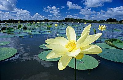 “梦见岛”风格新作《Castaway》公布上市日期