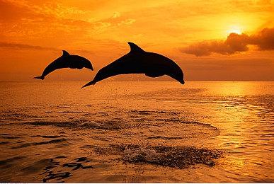 《赵云传重制版》袁绍军Boss设定图 压迫感十足